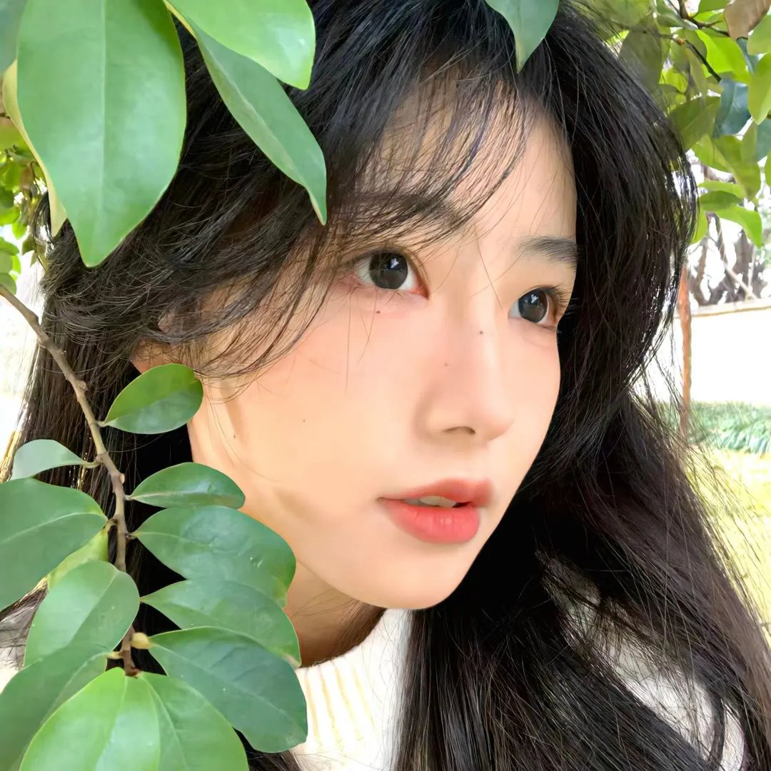 少年花草黄